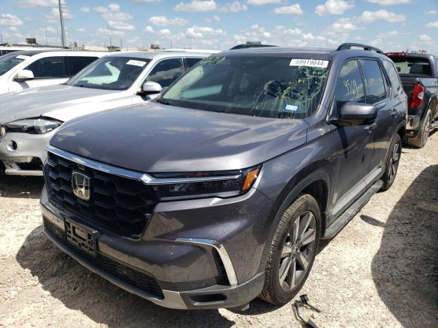 HONDA PILOT 2024 5fnyg1h83rb035337