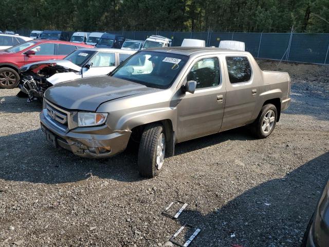 HONDA RIDGELINE 2009 5fpyk16529b102590