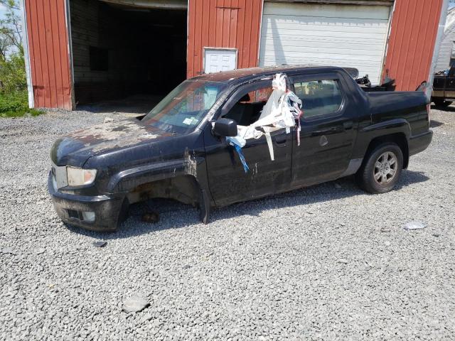 HONDA RIDGELINE 2010 5fpyk1f26ab002339