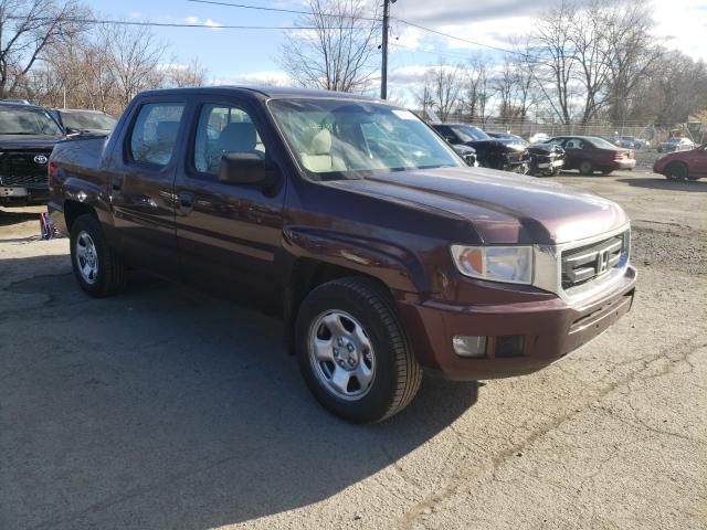 HONDA RIDGELINE 2010 5fpyk1f27ab013740