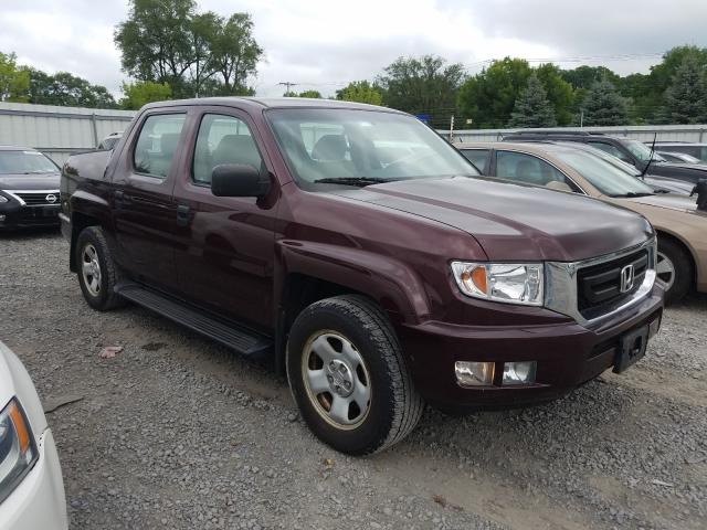 HONDA RIDGELINE 2010 5fpyk1f29ab013738