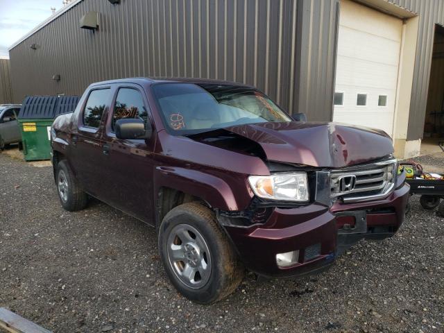 HONDA RIDGELINE 2013 5fpyk1f29db013954