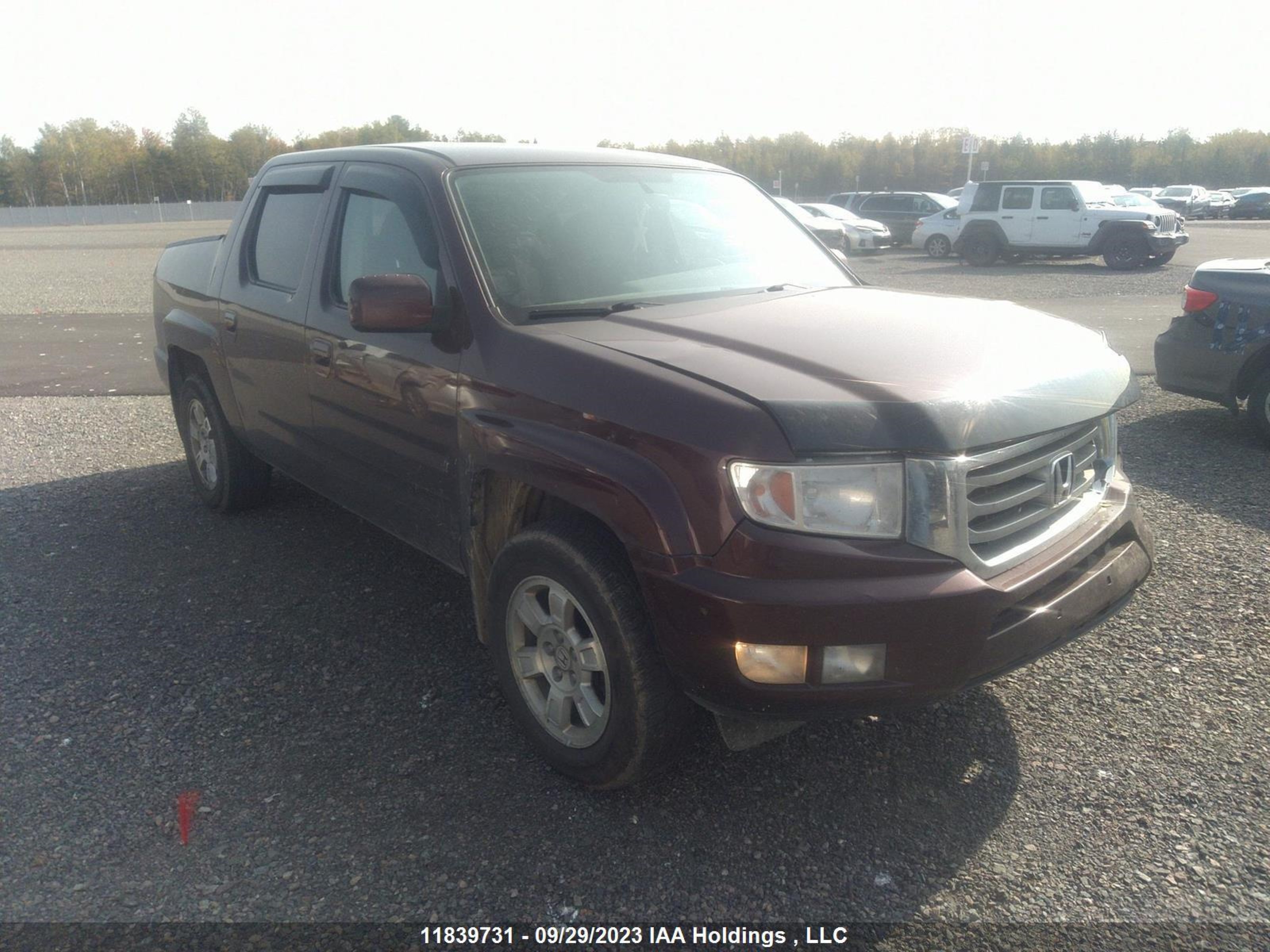 HONDA RIDGELINE 2013 5fpyk1f42db502469