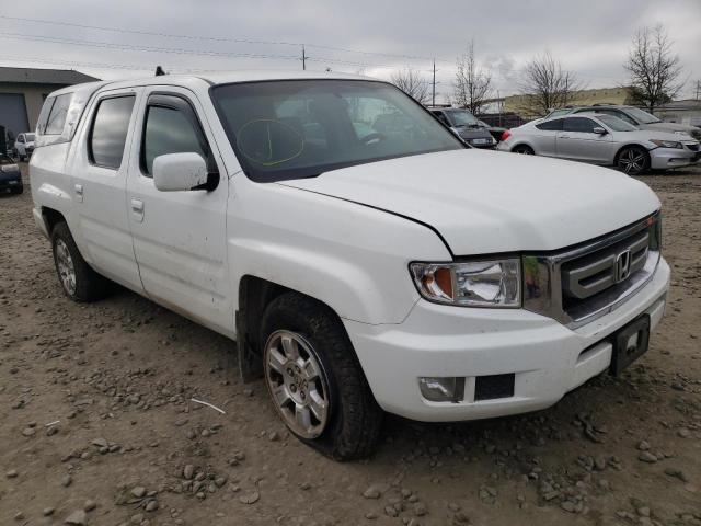 HONDA RIDGELINE 2010 5fpyk1f46ab006716