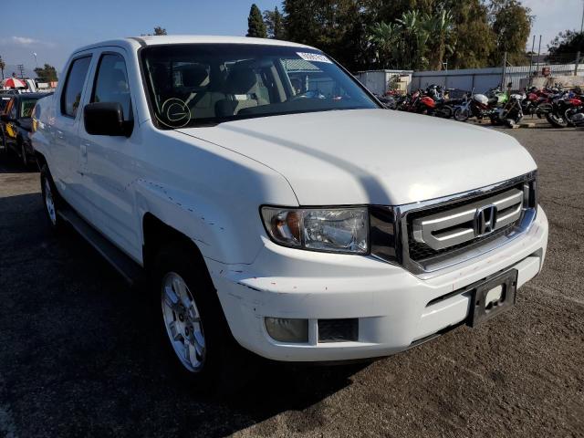 HONDA RIDGELINE 2010 5fpyk1f46ab013164