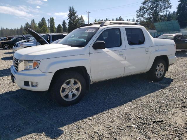 HONDA RIDGELINE 2012 5fpyk1f49cb455701