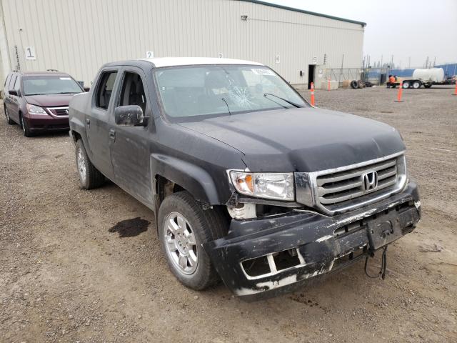 HONDA RIDGELINE 2013 5fpyk1f49db502601