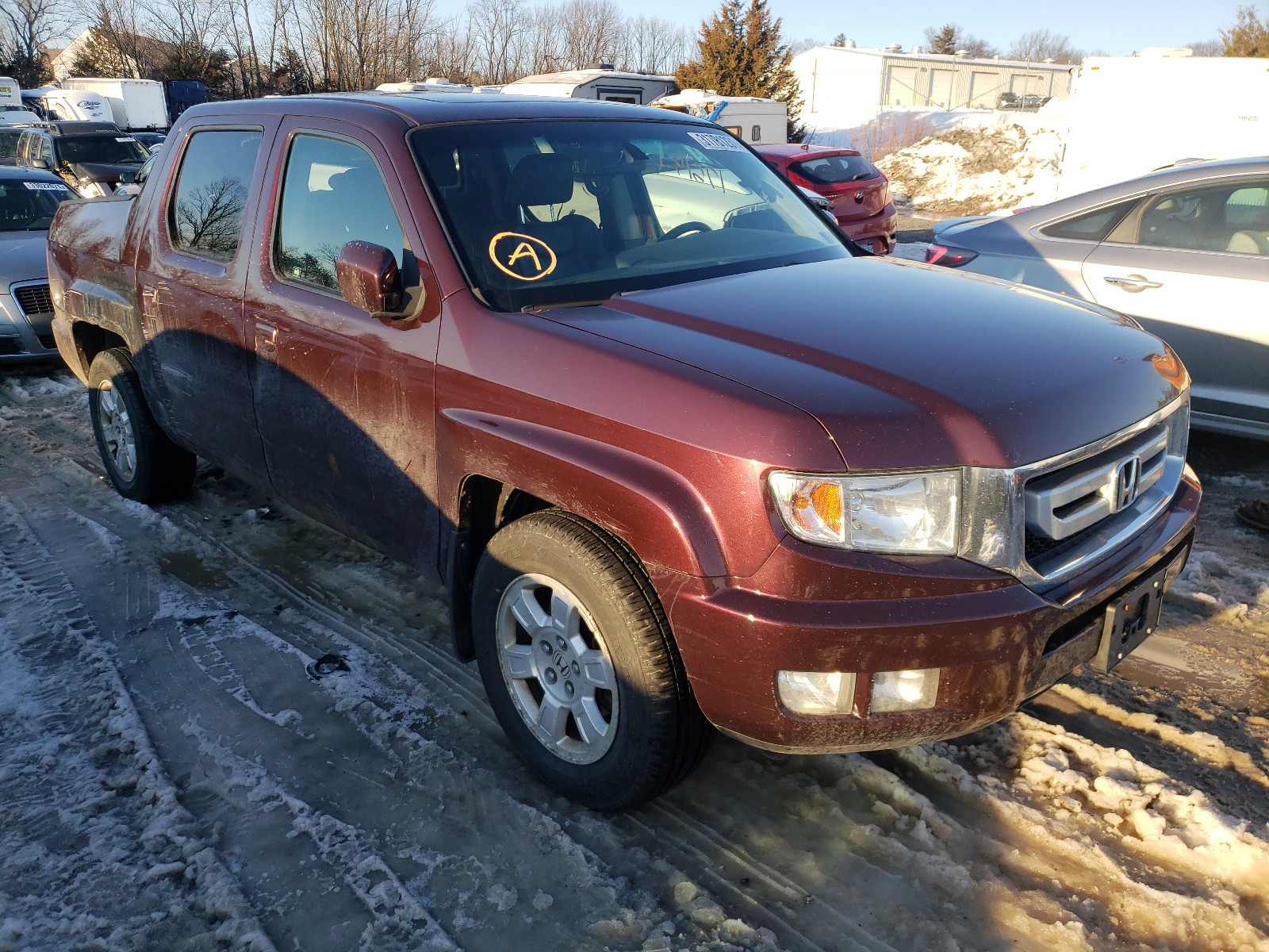 HONDA RIDGELINE 2010 5fpyk1f50ab010849