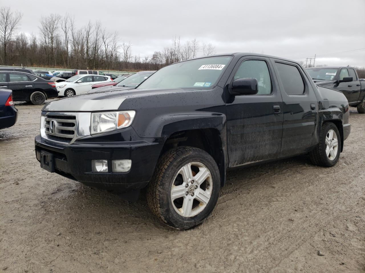 HONDA RIDGELINE 2013 5fpyk1f50db012282