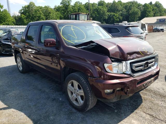 HONDA RIDGELINE 2010 5fpyk1f51ab007460