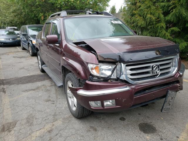 HONDA RIDGELINE 2013 5fpyk1f51db015661