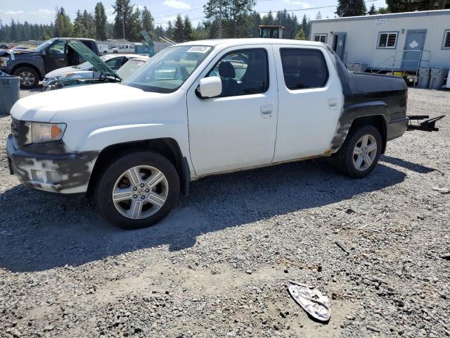 HONDA RIDGELINE 2014 5fpyk1f51eb006234