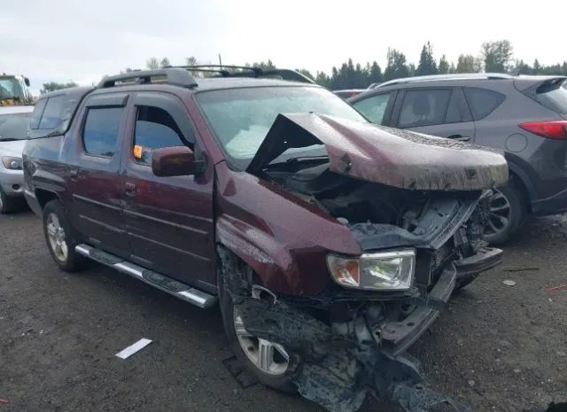 HONDA RIDGELINE 2010 5fpyk1f53ab013938