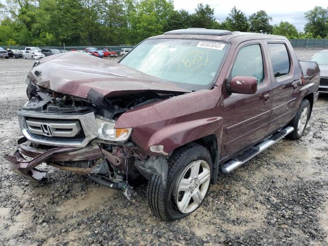 HONDA RIDGELINE 2011 5fpyk1f53bb011429