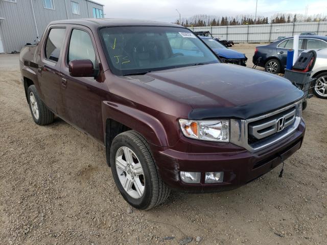 HONDA RIDGELINE 2011 5fpyk1f55bb501922