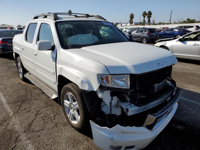 HONDA RIDGELINE 2013 5fpyk1f56db003974