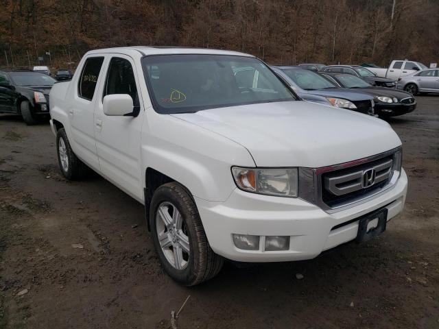 HONDA RIDGELINE 2011 5fpyk1f57bb011112