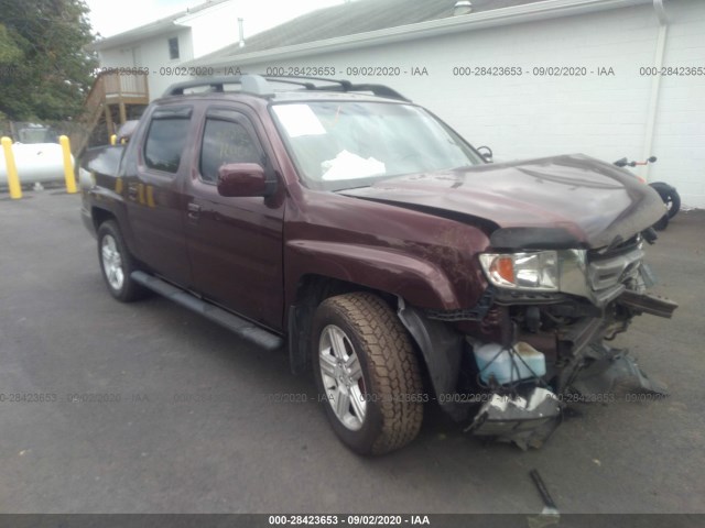 HONDA RIDGELINE 2010 5fpyk1f58ab008749