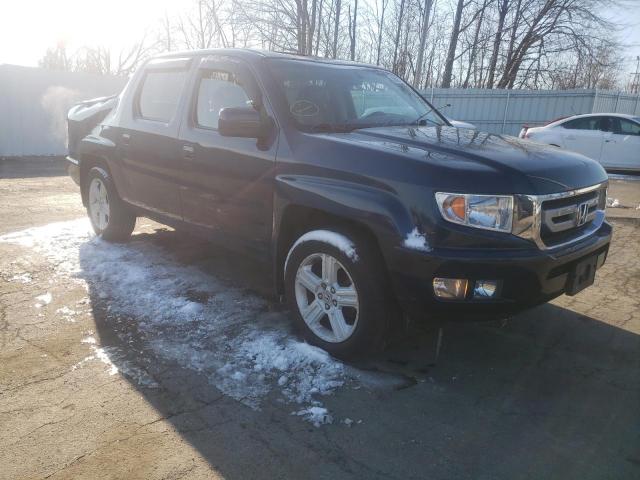 HONDA RIDGELINE 2010 5fpyk1f59ab002443