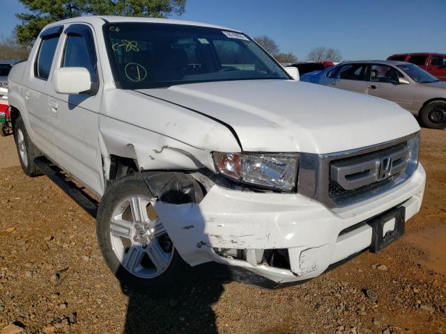 HONDA RIDGELINE 2011 5fpyk1f59bb011113