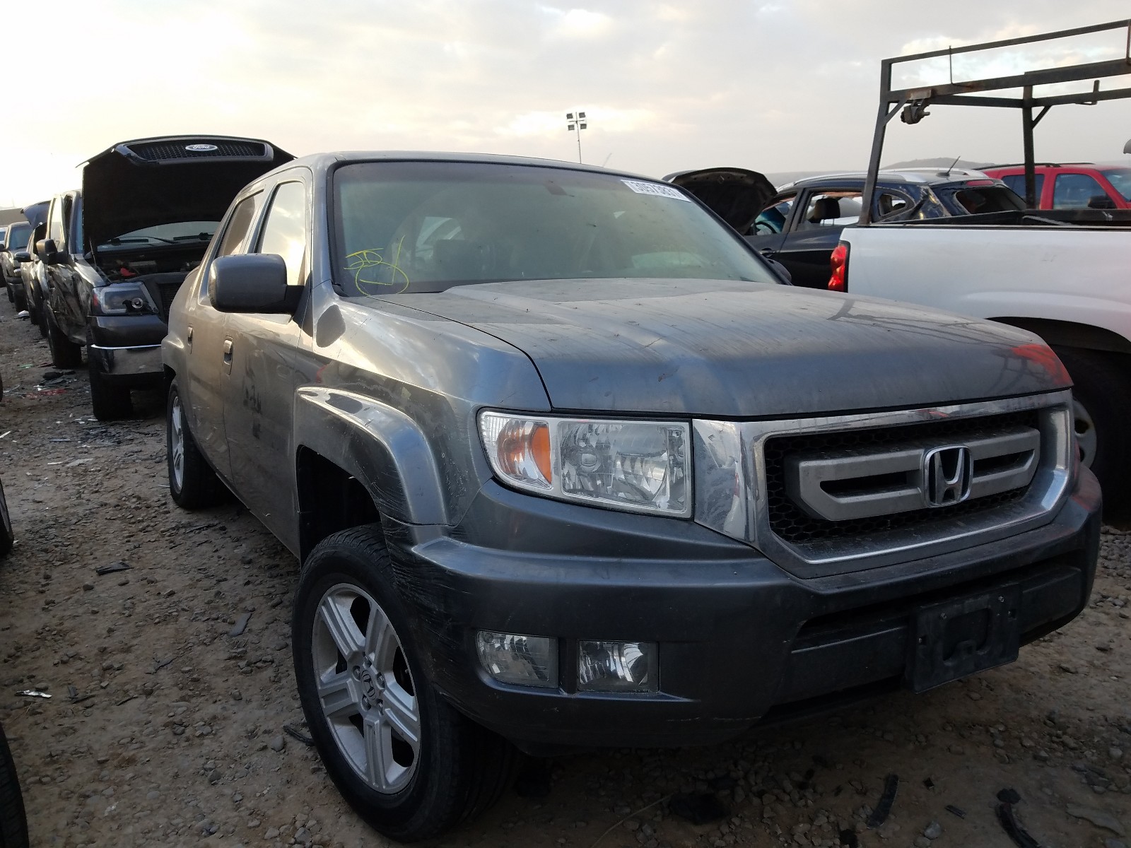 HONDA RIDGELINE 2010 5fpyk1f5xab011006