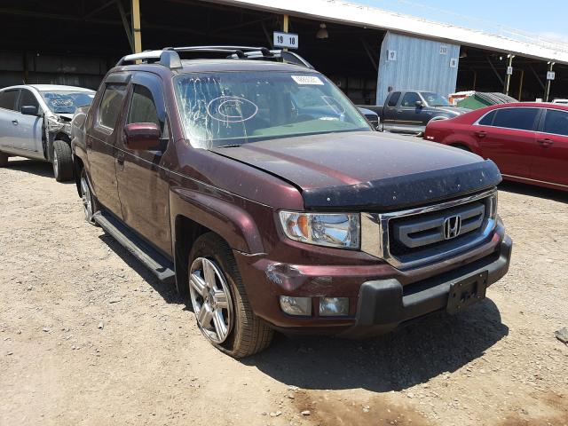 HONDA RIDGELINE 2011 5fpyk1f5xbb007491