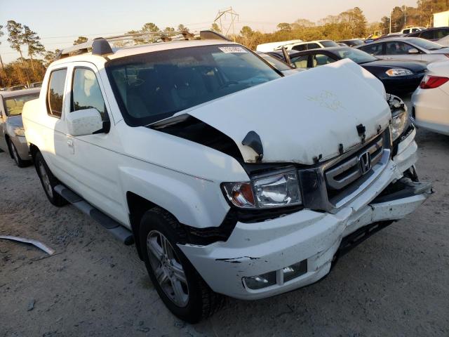 HONDA RIDGELINE 2011 5fpyk1f5xbb008513