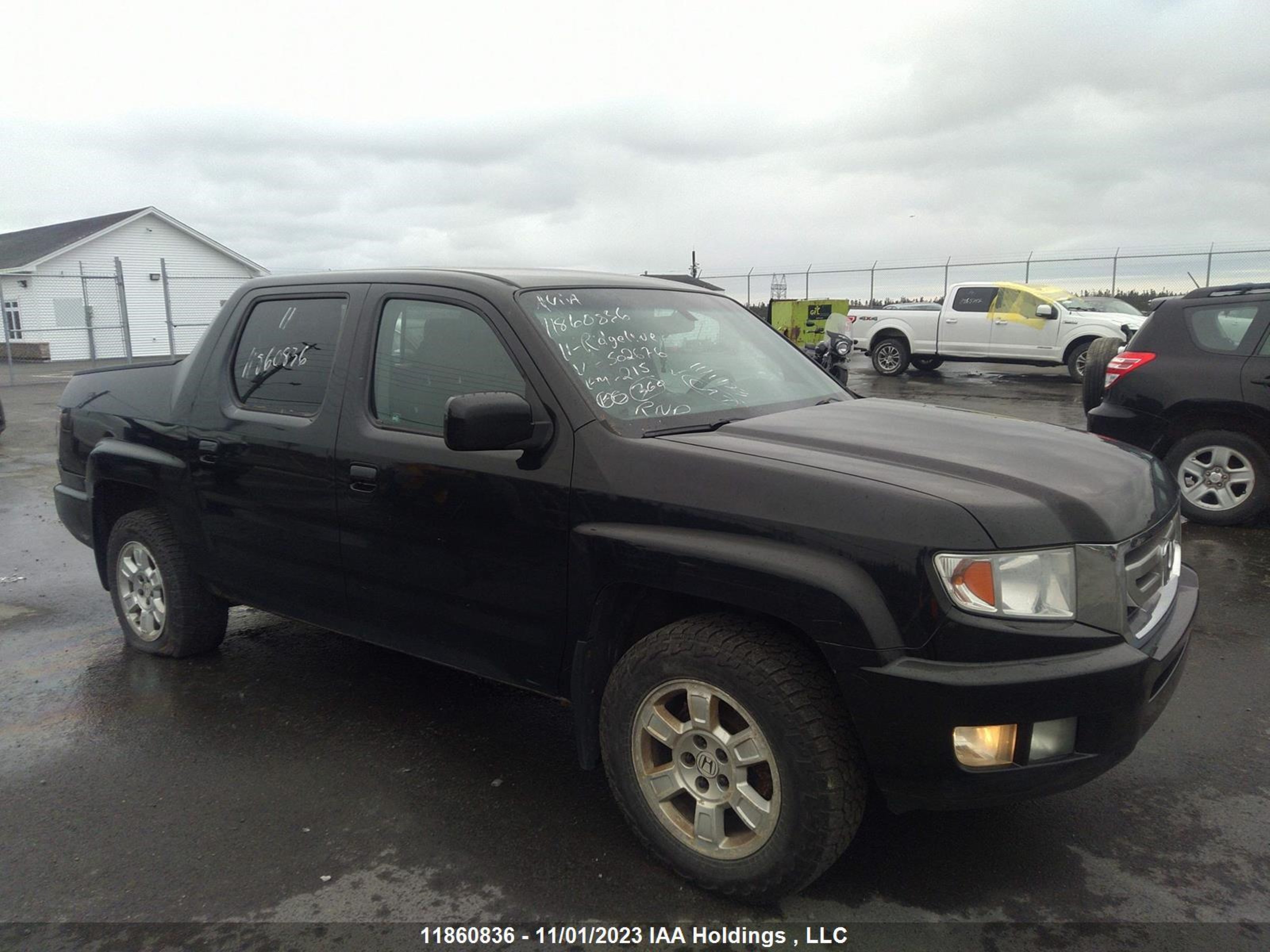 HONDA RIDGELINE 2011 5fpyk1f5xbb502676