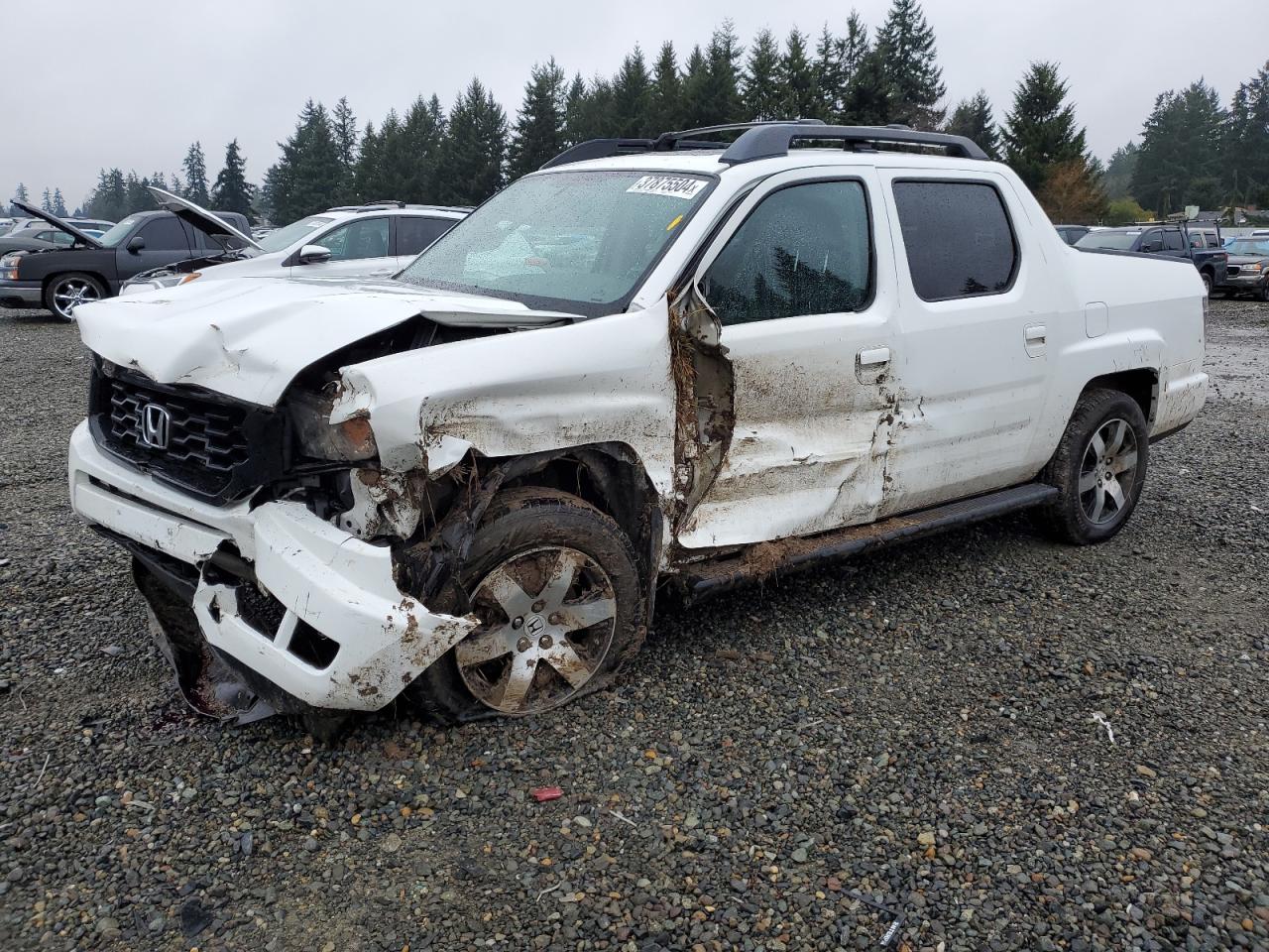 HONDA RIDGELINE 2014 5fpyk1f66eb013253