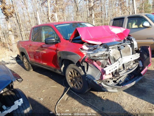 HONDA RIDGELINE 2021 5fpyk3f13mb001320