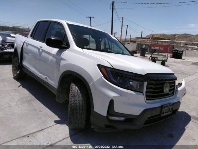 HONDA RIDGELINE 2021 5fpyk3f13mb021891