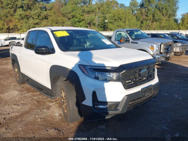 HONDA RIDGELINE 2021 5fpyk3f14mb002315