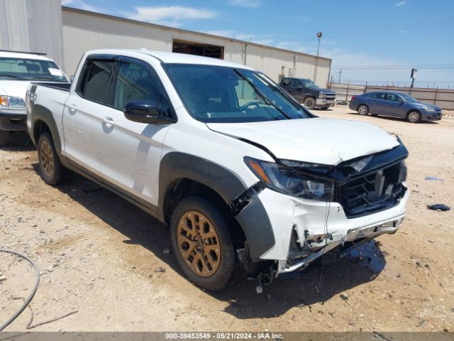 HONDA RIDGELINE 2021 5fpyk3f14mb002606