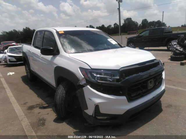 HONDA RIDGELINE 2021 5fpyk3f16mb001196