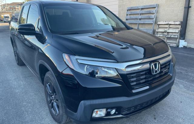 HONDA RIDGELINE 2019 5fpyk3f17kb018991