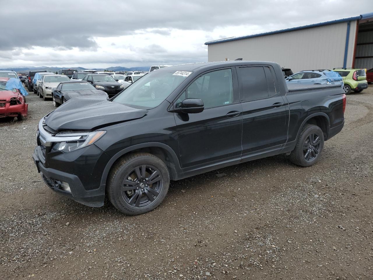 HONDA RIDGELINE 2019 5fpyk3f19kb047165