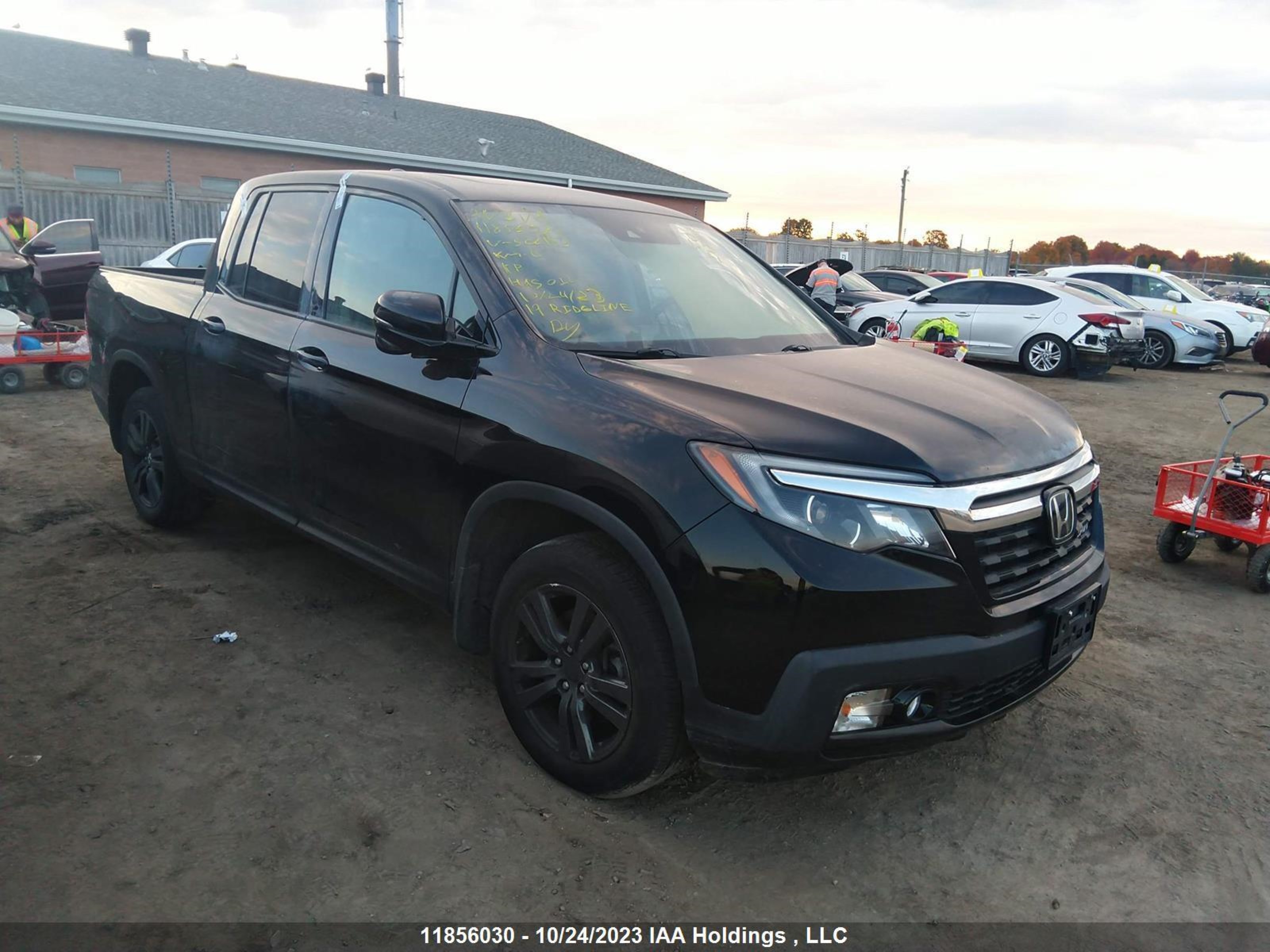 HONDA RIDGELINE 2019 5fpyk3f1xkb502153