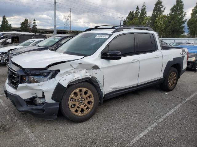 HONDA RIDGELINE 2021 5fpyk3f1xmb002352