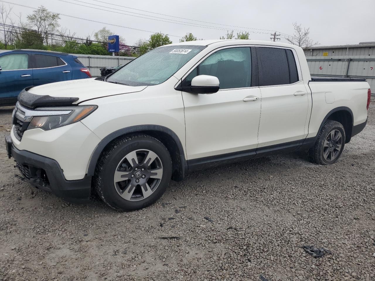 HONDA RIDGELINE 2017 5fpyk3f50hb004846