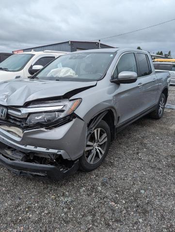 HONDA RIDGELINE 2019 5fpyk3f50kb503122