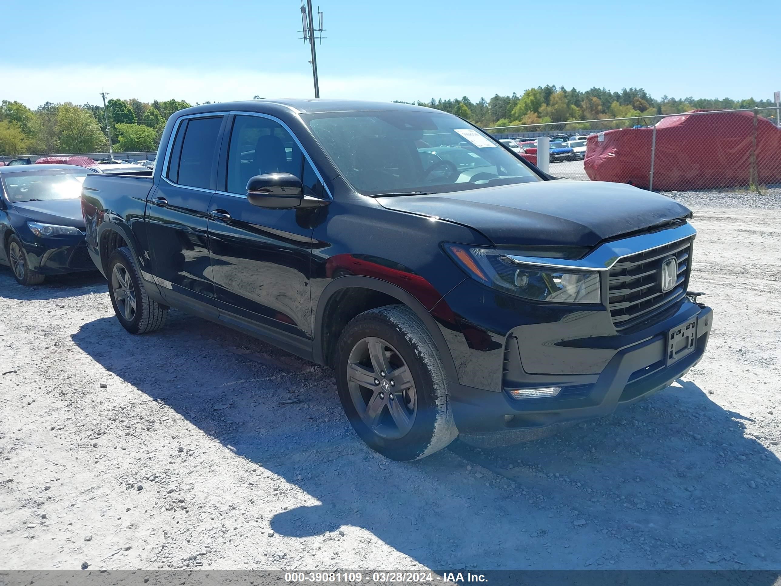 HONDA RIDGELINE 2023 5fpyk3f52pb001154