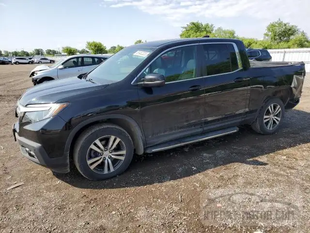 HONDA RIDGELINE 2019 5fpyk3f55kb502905