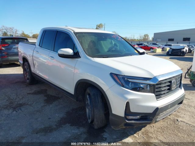 HONDA RIDGELINE 2021 5fpyk3f57mb011111