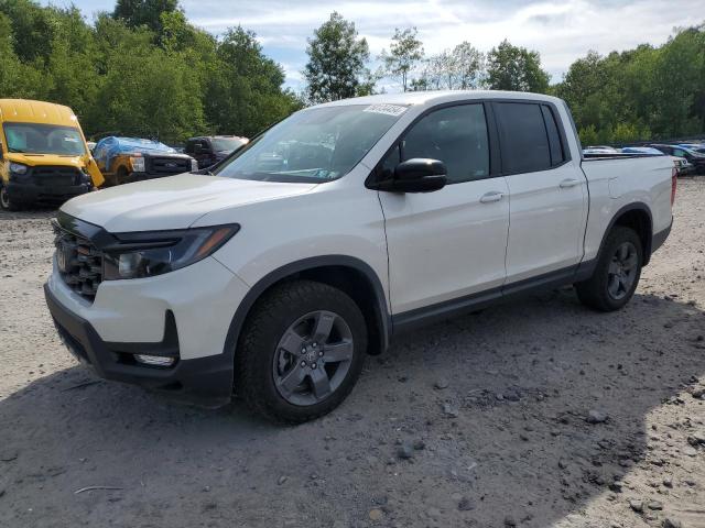 HONDA RIDGELINE 2024 5fpyk3f69rb002894