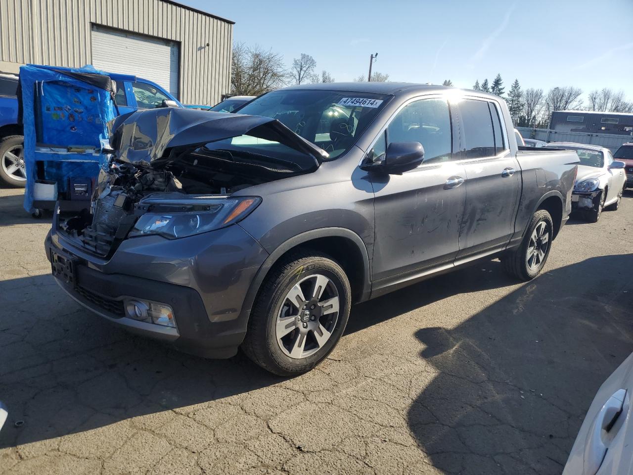 HONDA RIDGELINE 2019 5fpyk3f70kb005603