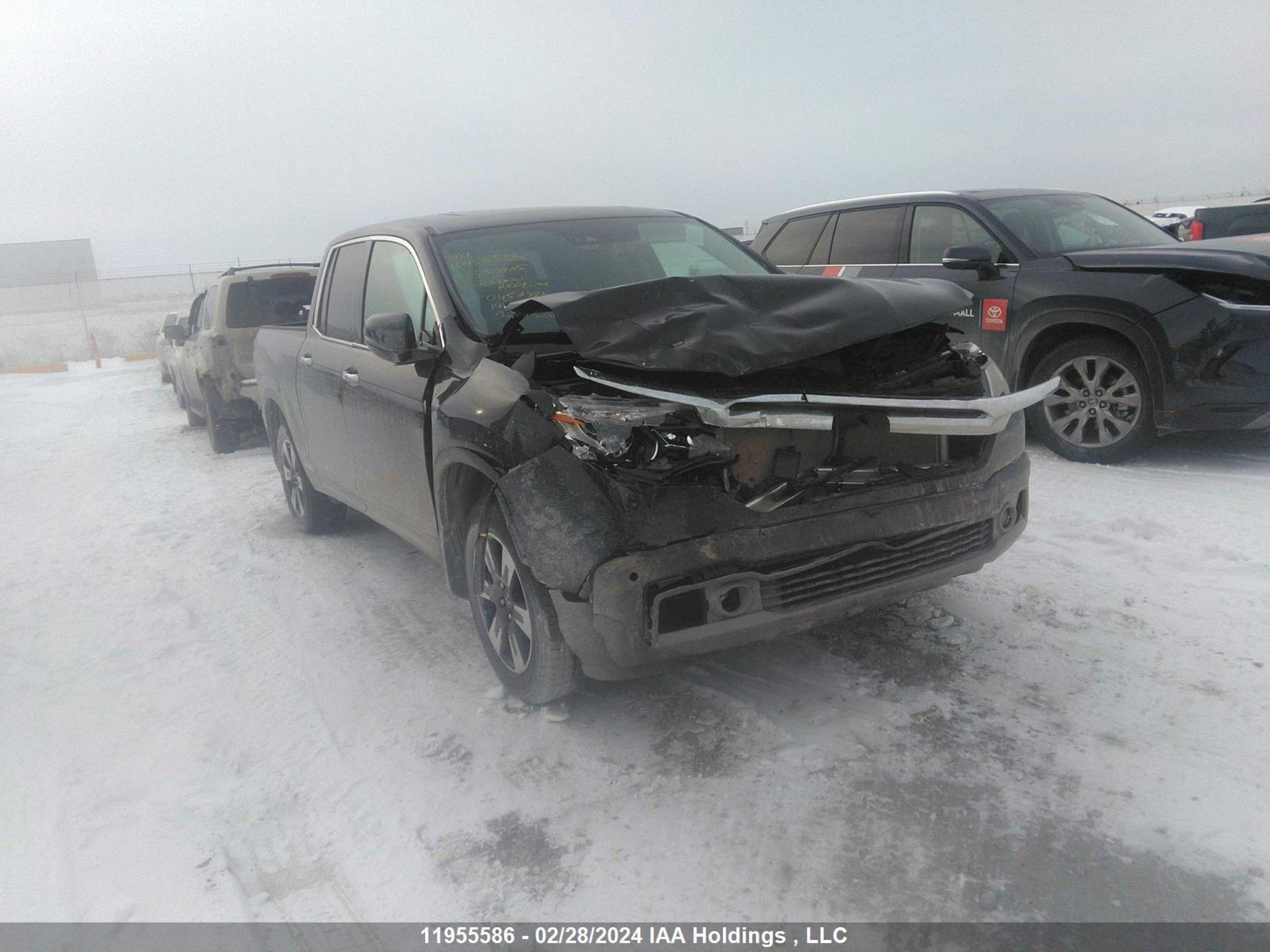 HONDA RIDGELINE 2020 5fpyk3f72lb500905