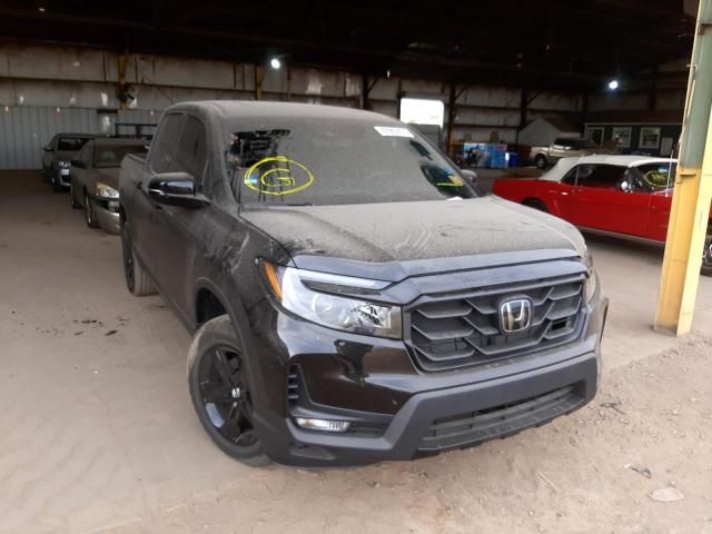 HONDA RIDGELINE 2021 5fpyk3f80mb004785