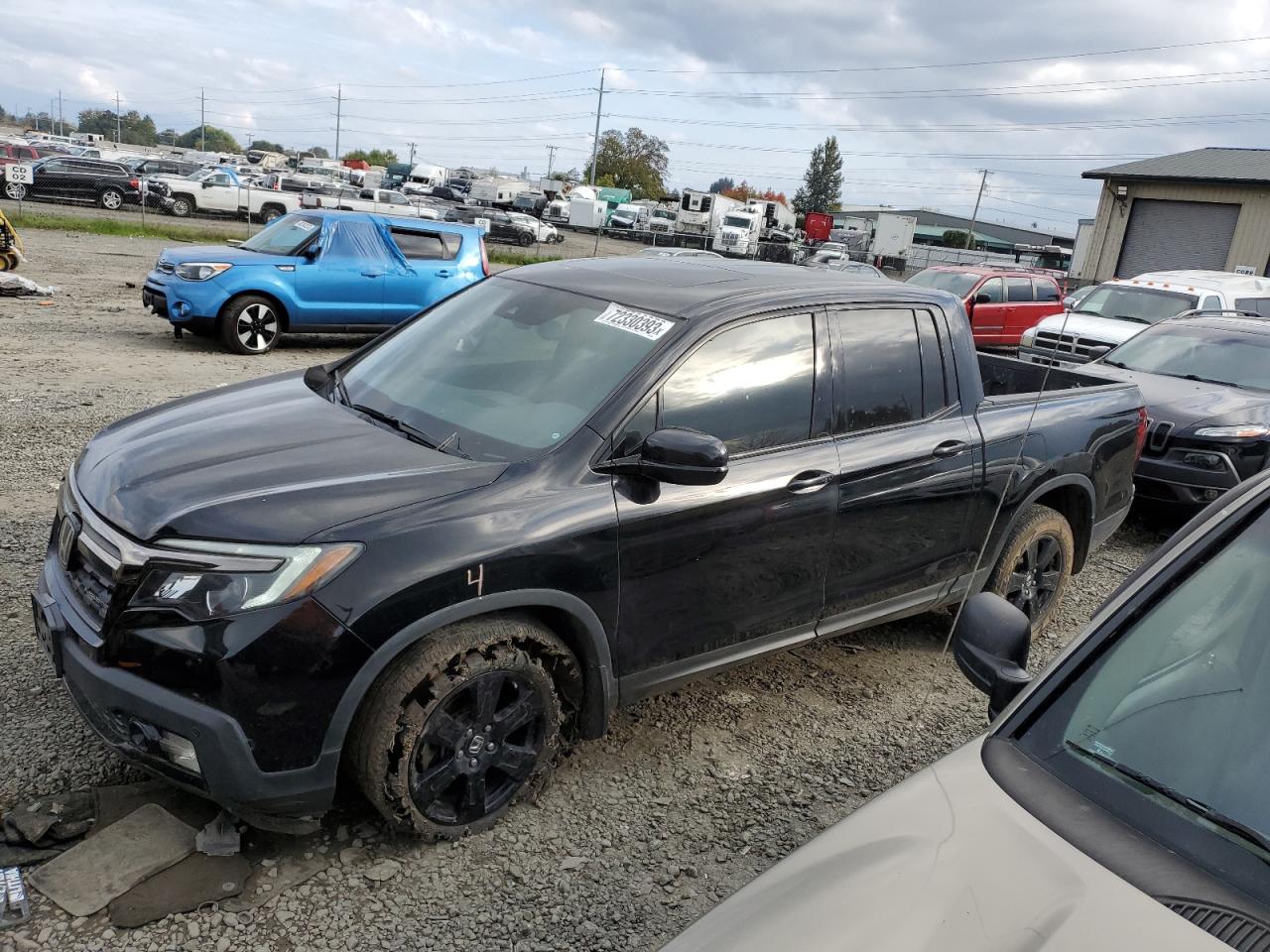 HONDA RIDGELINE 2019 5fpyk3f89kb022229