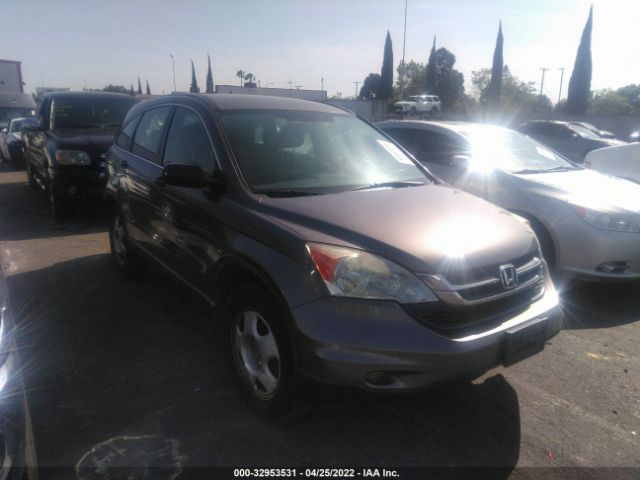 HONDA CR-V 2010 5j6re3h31al041191