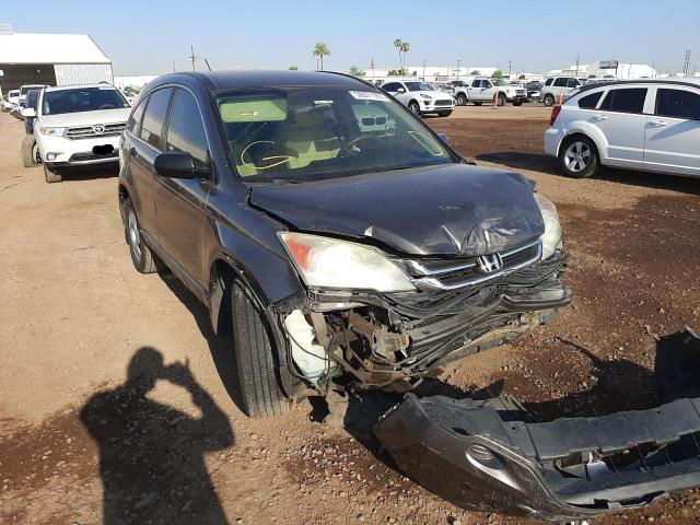 HONDA CR-V LX 2010 5j6re3h33al020410